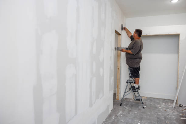 Center Point, TX Mold Removal Company