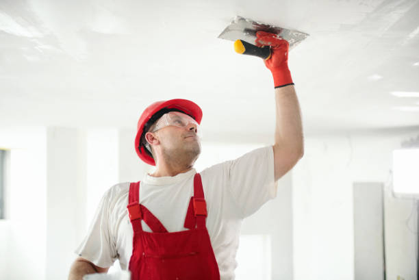Best Mold Documentation for Insurance Claims  in Center Point, TX